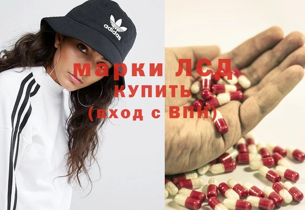 крисы Приозерск