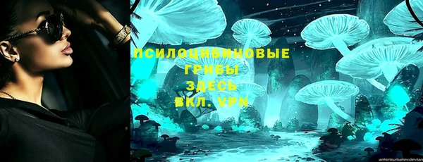 PSILOCYBIN Протвино