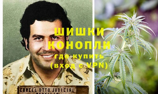 PSILOCYBIN Протвино