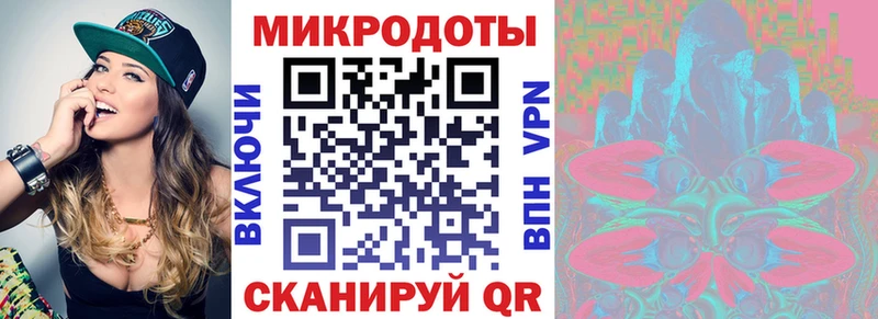 где найти наркотики  Снежногорск  Галлюциногенные грибы Psilocybe 